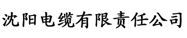 大香蕉y人在线视频电缆厂logo